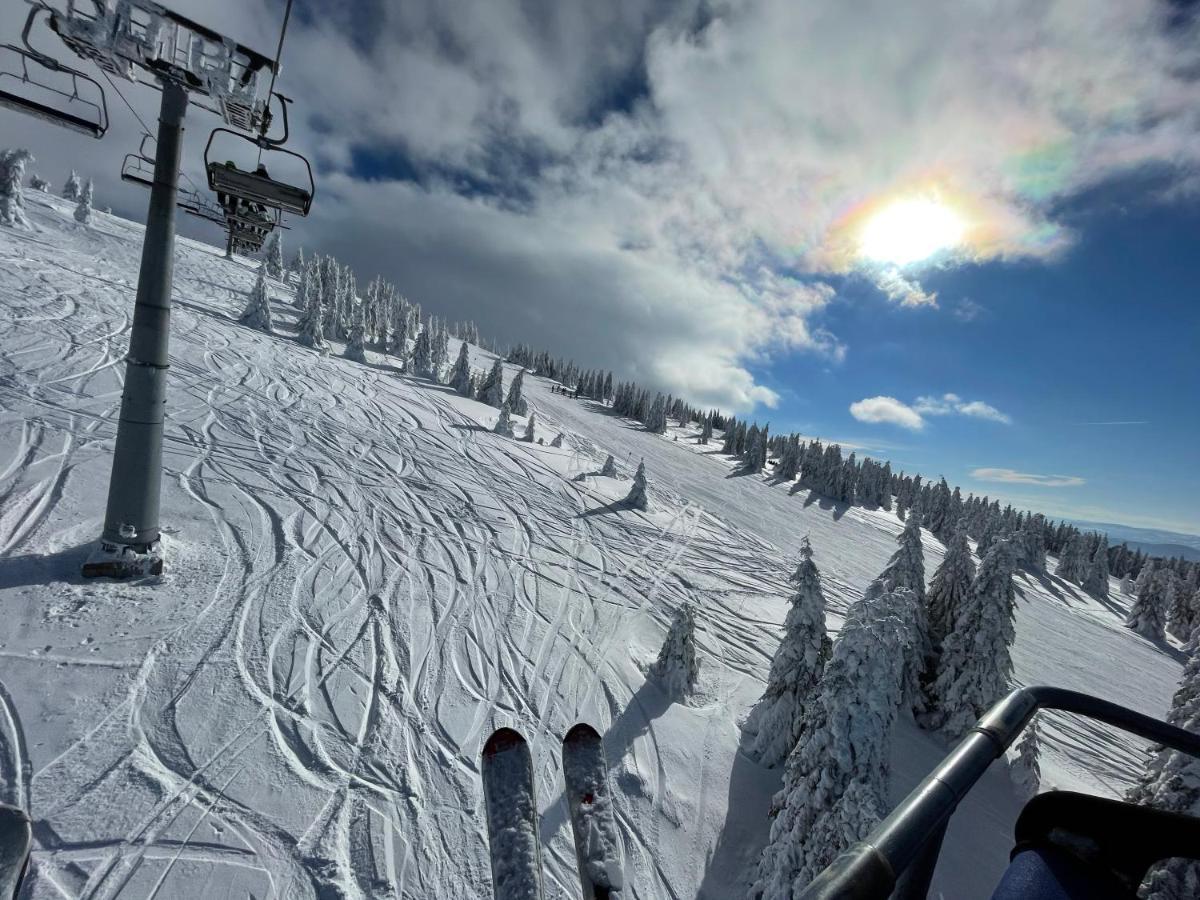 Pano Kopaonik Panorama 아파트 외부 사진